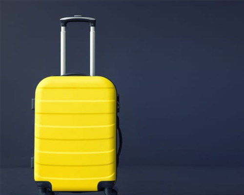 trolley suitcase supplier (13)
