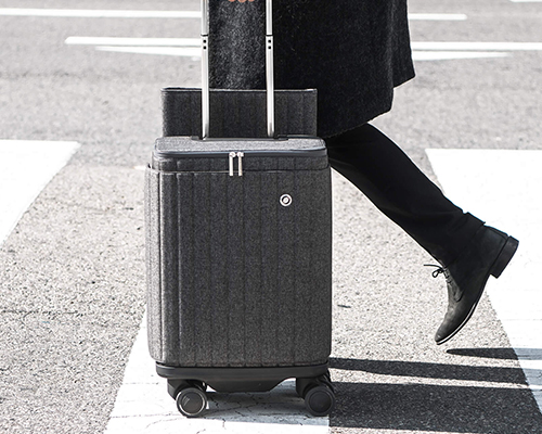 trolley suitcase supplier (15)